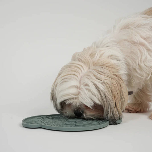 Dog interacting with a green pet mat on a white background
