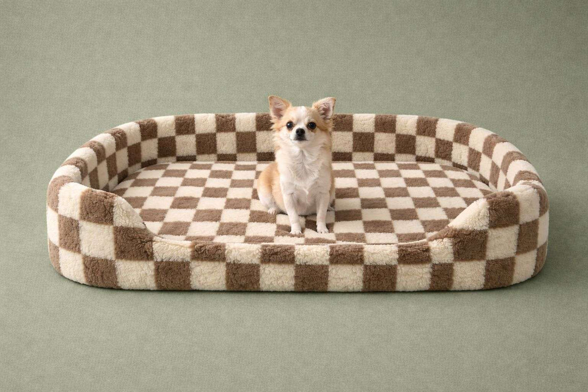 A small chihuahua sits centered in a plush oval pet bed with a brown and cream checkered pattern, set against a solid sage green background.