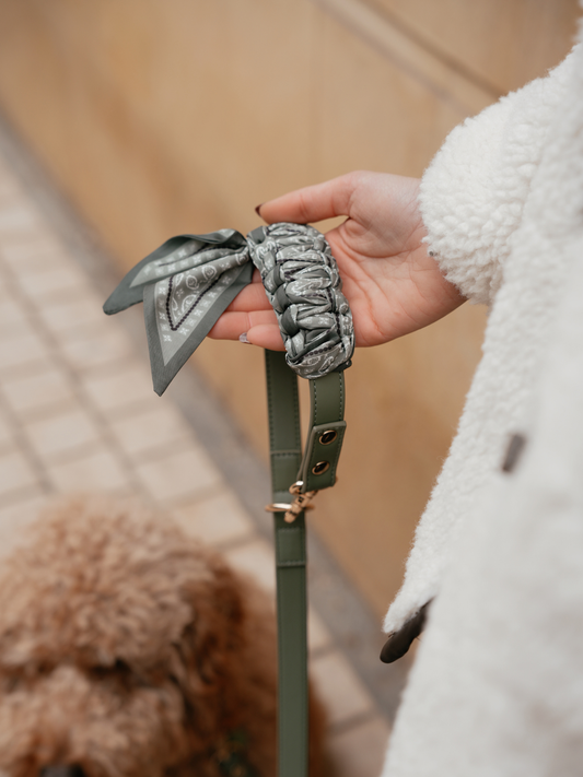 Person holding a green dog leash with a gray bow, with a blurred background