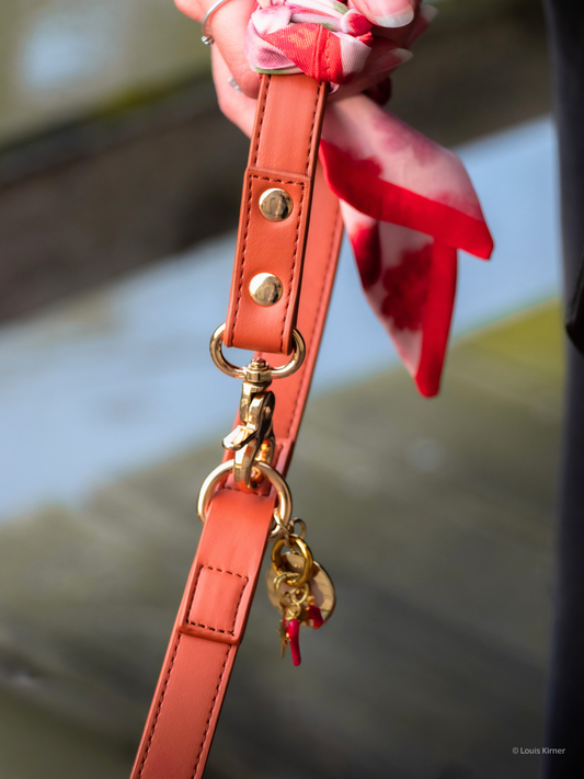 Close-up of a coral leather dog leash with gold hardware and a red bow, held by a hand.
