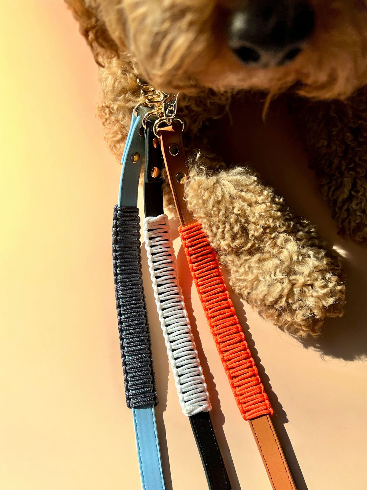 Multi-Position Dog Leash with Bandana | Vegan Leather | Hands-Free | Shadow