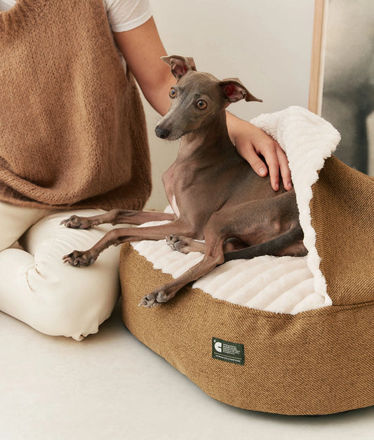 Corduroy Dog Bed with Mustard Hood – Maso (Removable & Washable)
