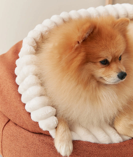 Corduroy Dog Bed with Orange Hood – Maso (Removable & Washable)