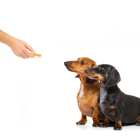 Power Dental Sticks – Rawhide Chews for Strong Teeth & Gums