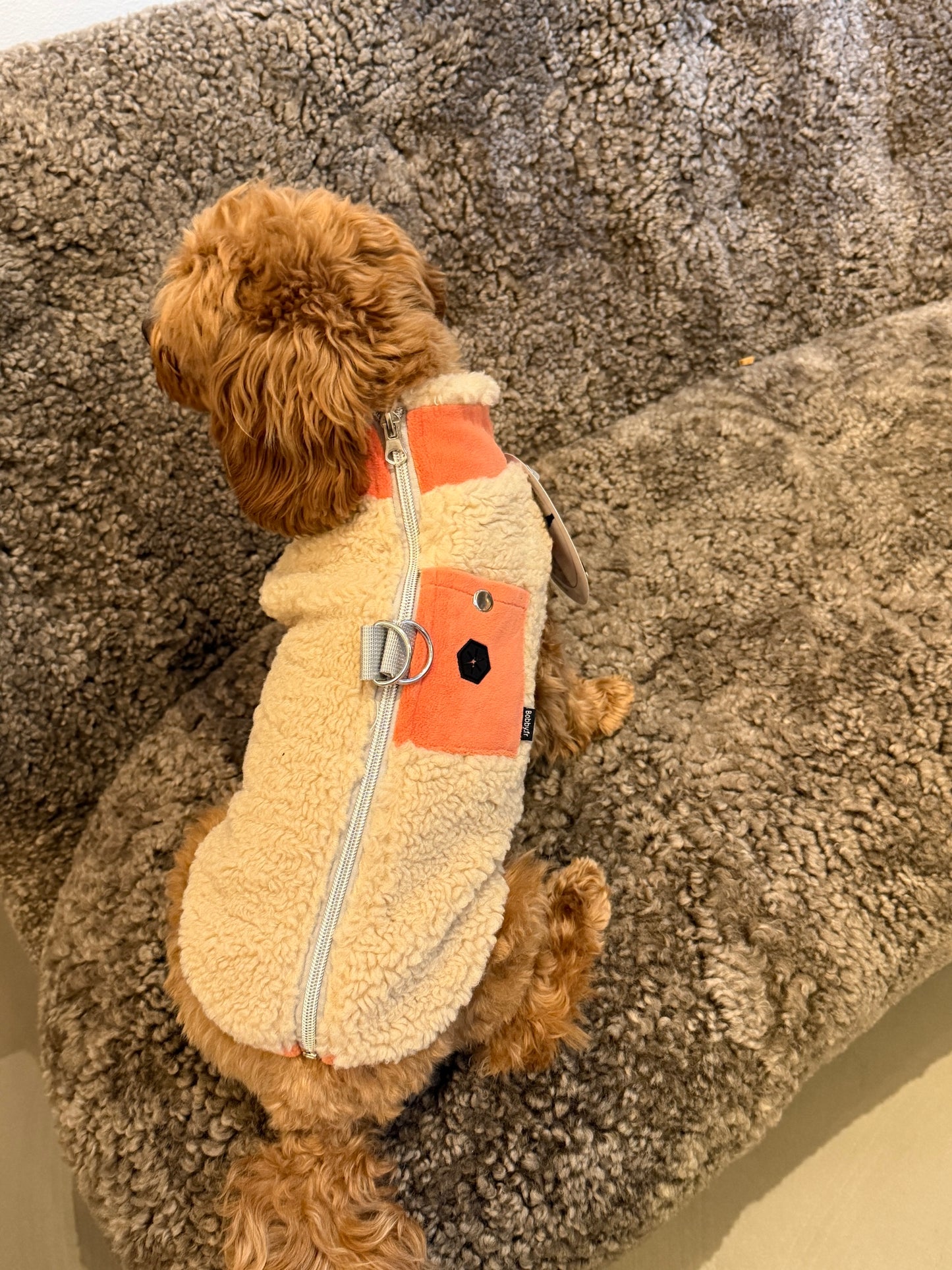 Sherpa Parka Orange for Dogs with Pocket and Leash Rings