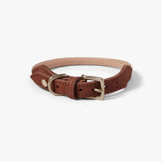 Brown woven dog collar with leather accent and brass buckle on a white background