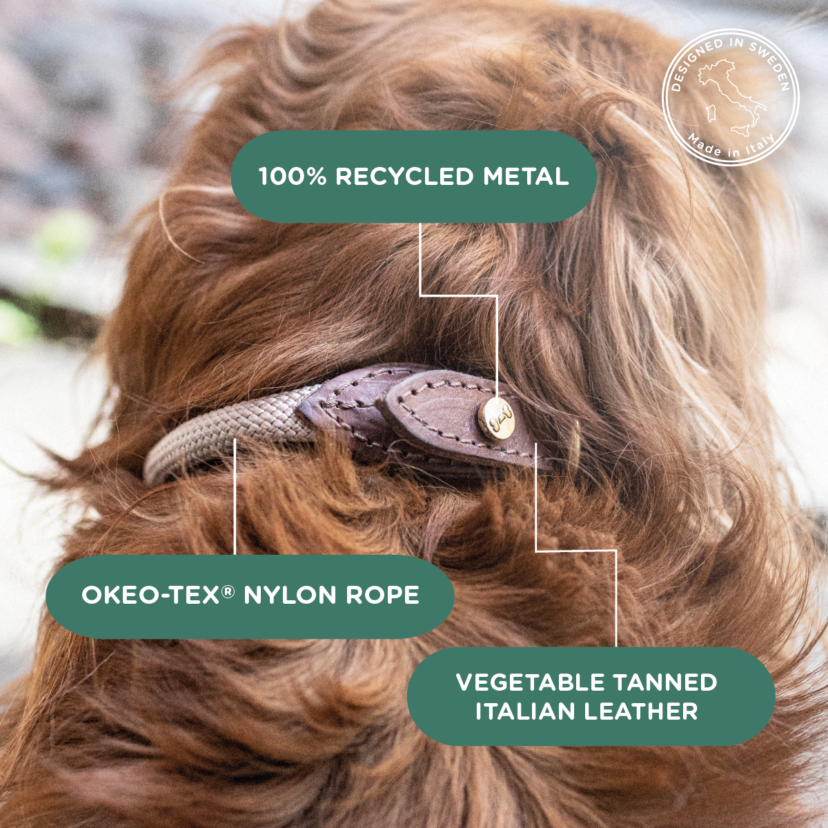 Dog collar with recycled metal, Oeko-Tex nylon rope, and vegetable tanned leather on a blurred natural background.