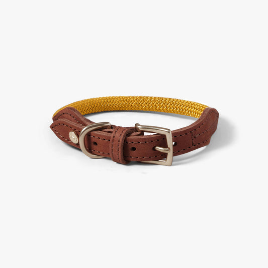 Torekov Dog Collar – Limited Edition Sunflower Yellow