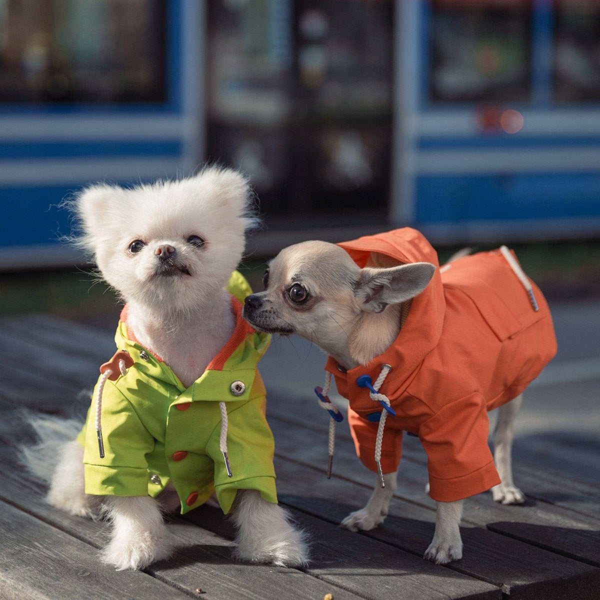 Vandtæt regnfrakke til hunde, orange