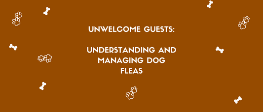 Unwelcome guests: understanding and managing dog fleas