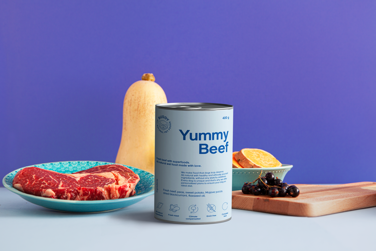 Buddy Pet Foods