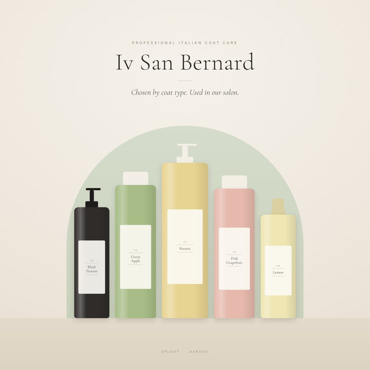 Iv San Bernard – Professional Italian Dog Grooming Products