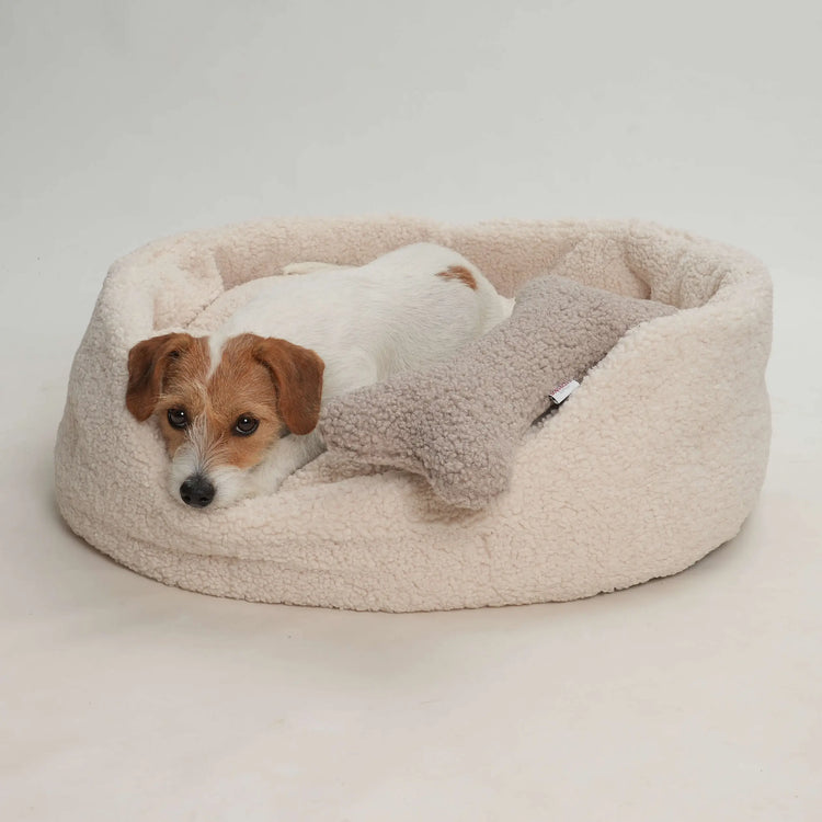 Calming Dog Beds – Comfort That Helps Dogs Settle
