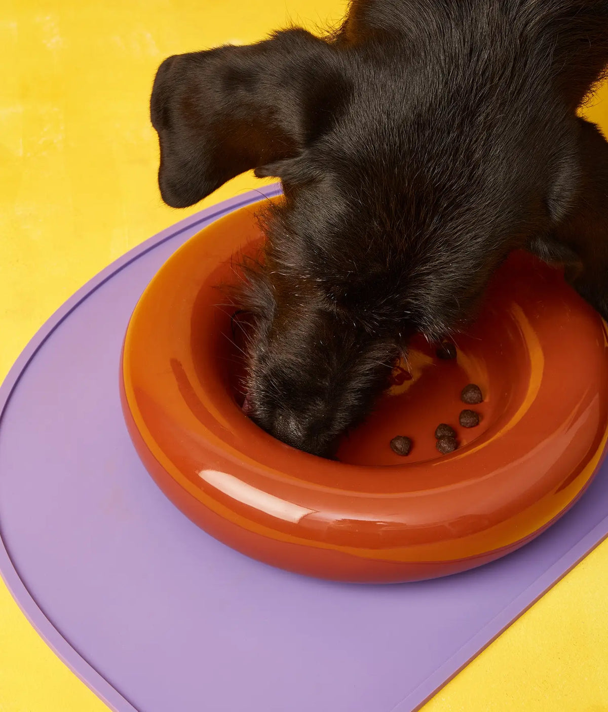 Yellow ceramic dog feeder