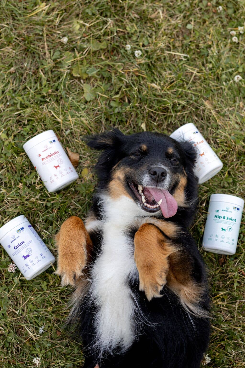 Dog Supplements – Buddy Care Calm (150g) | Natural Calming Chews