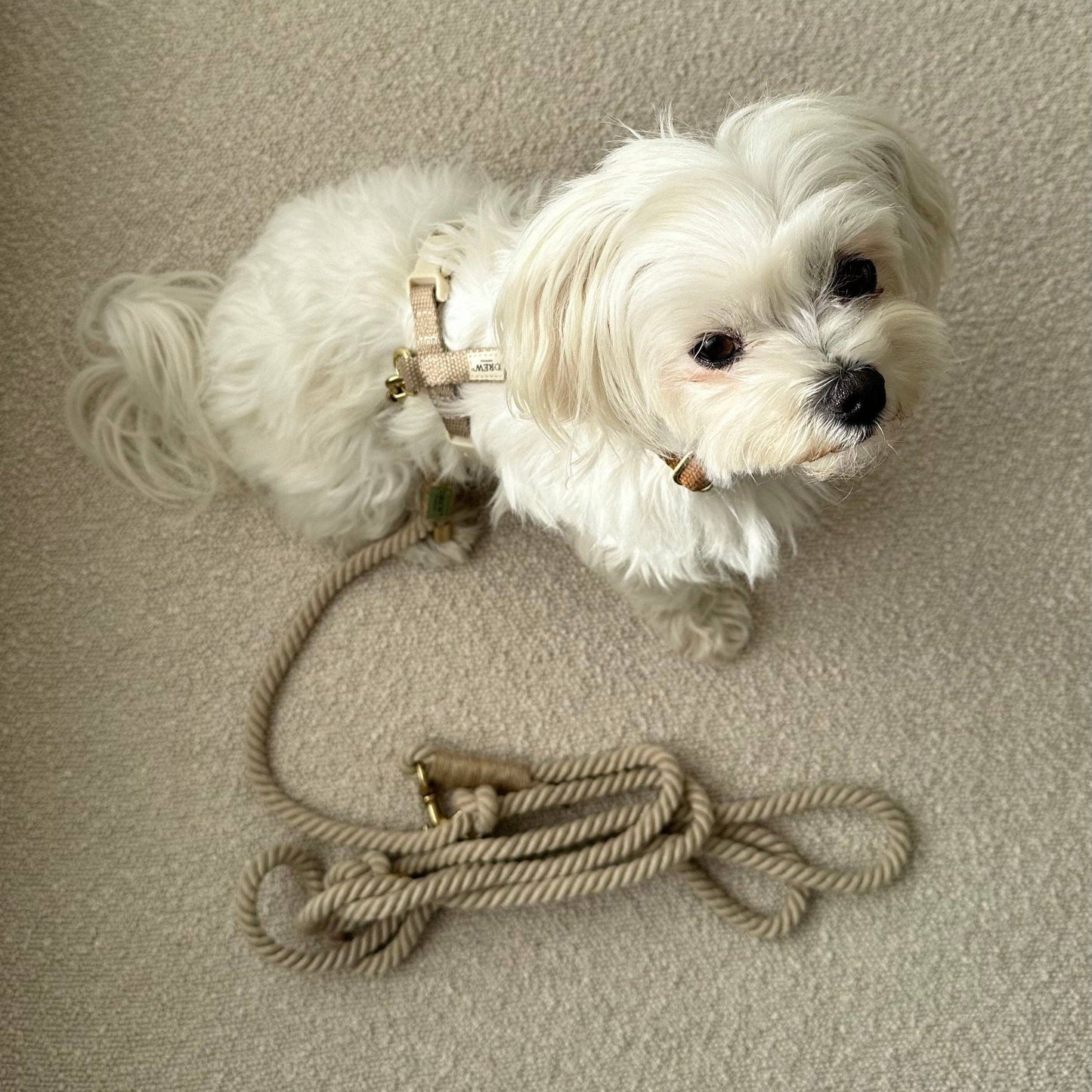 Beige Adjustable Dog Leash – Soft & Multi-Functional Rope