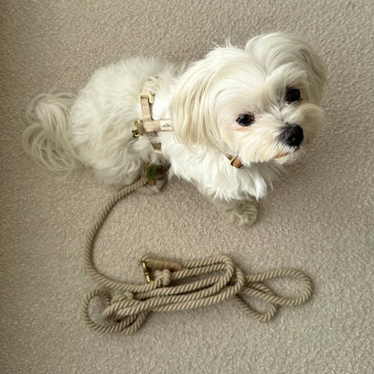 Beige Adjustable Dog Leash – Soft & Multi-Functional Rope