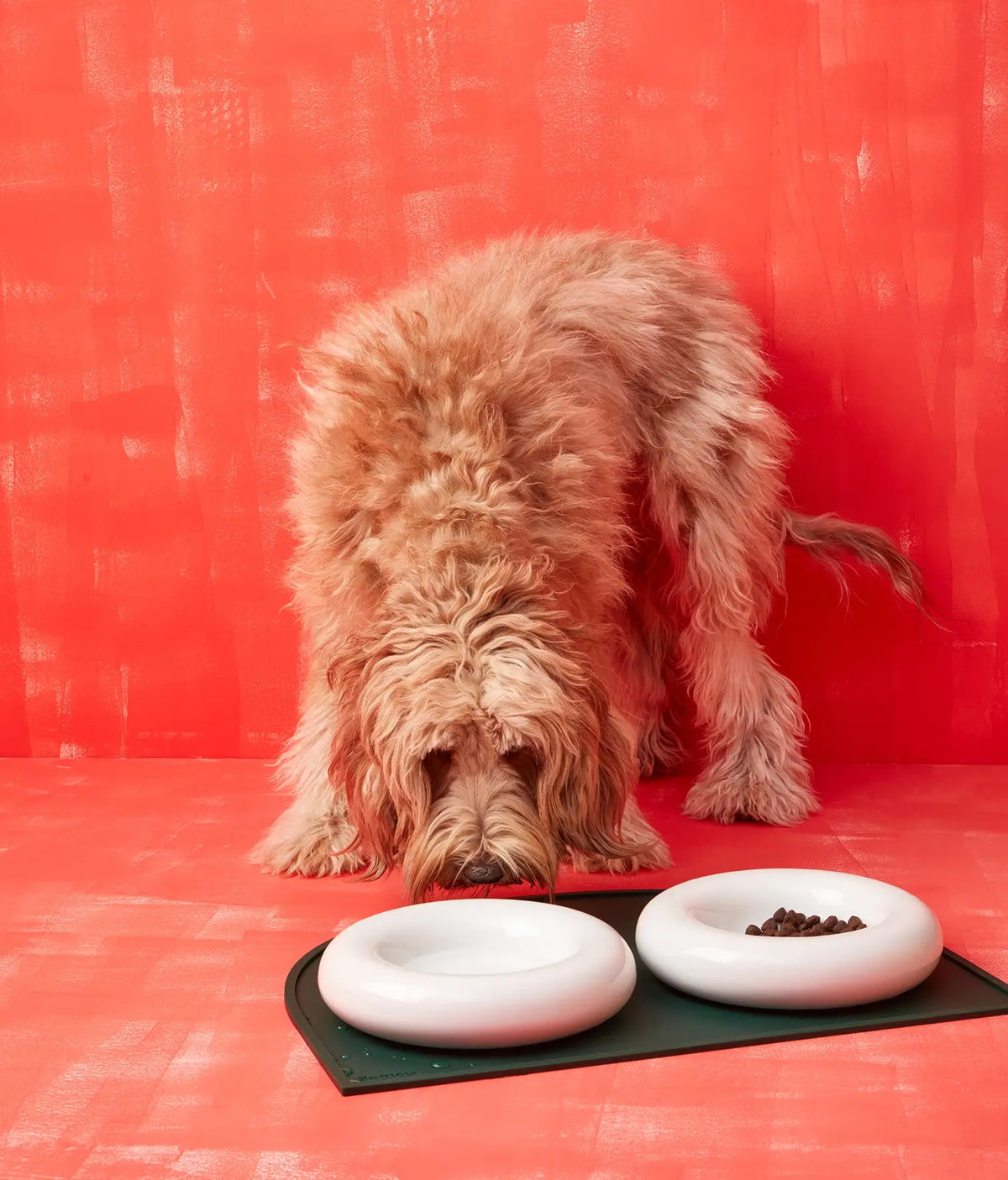 Yellow ceramic dog feeder