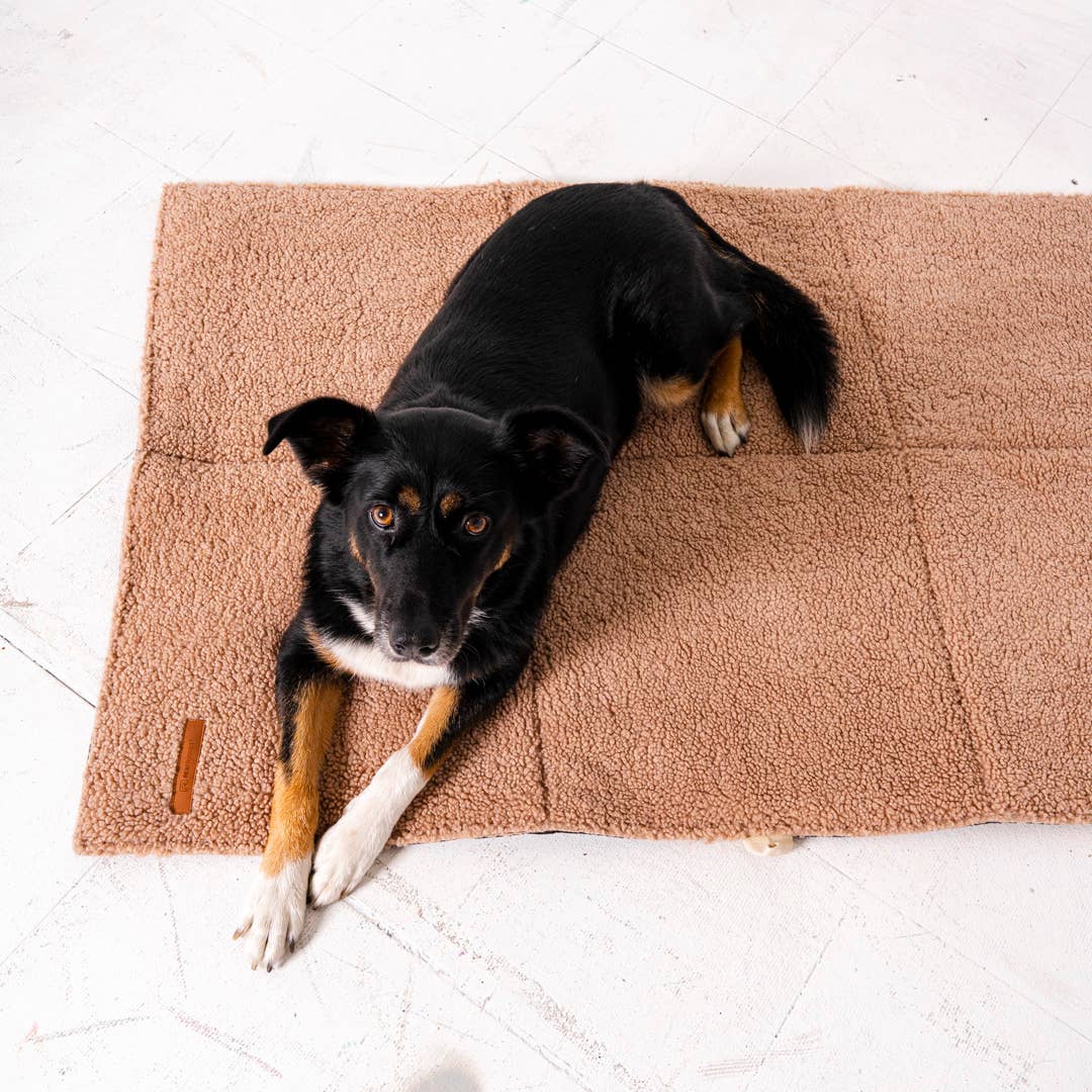 Mia Teddy Travel Mat – Comfort Anywhere, Anytime