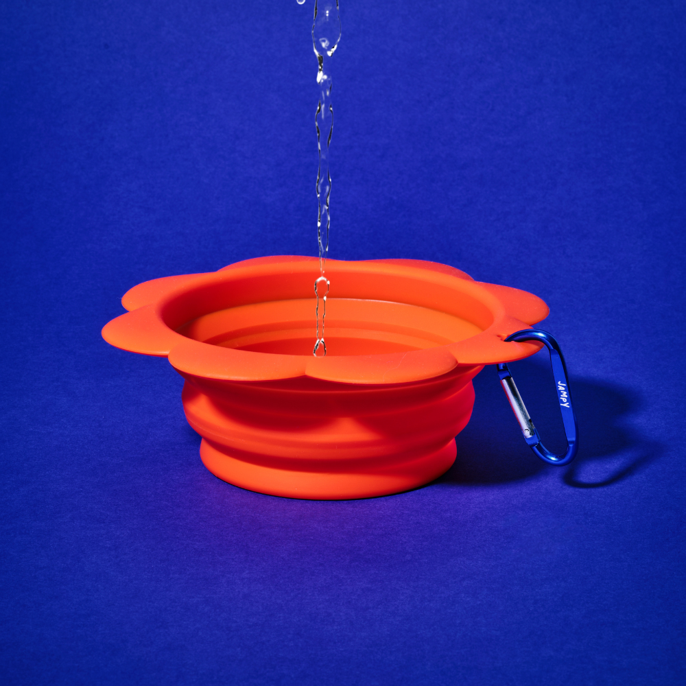 Fiorellino Collapsible Travel Bowl for Dogs | Food-Grade Silicone