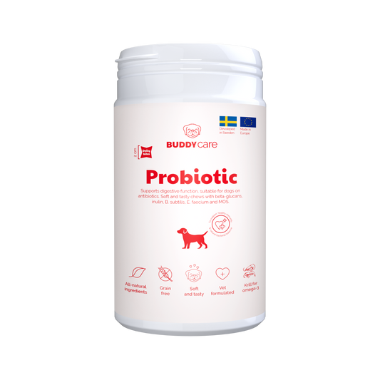 Buddy Care Probiotic 150 gr. – Natural Digestive & Immune Support Chews