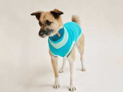 THE GLOW JUMPER 2.0 - Neon Dog Sweater - (Crystal Sky): Crystal Sky / 6