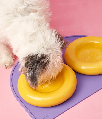 Yellow ceramic dog feeder