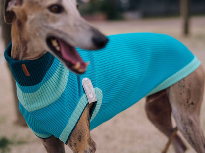 THE GLOW JUMPER 2.0 - Neon Dog Sweater - (Crystal Sky): Crystal Sky / 1