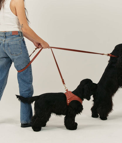 Jala Vegan Leather Dog Harness – Brown | Handmade & Sustainable