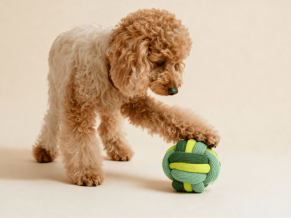 The Twisty Ball – Interactive Snuffle Ball for Dogs (new!)