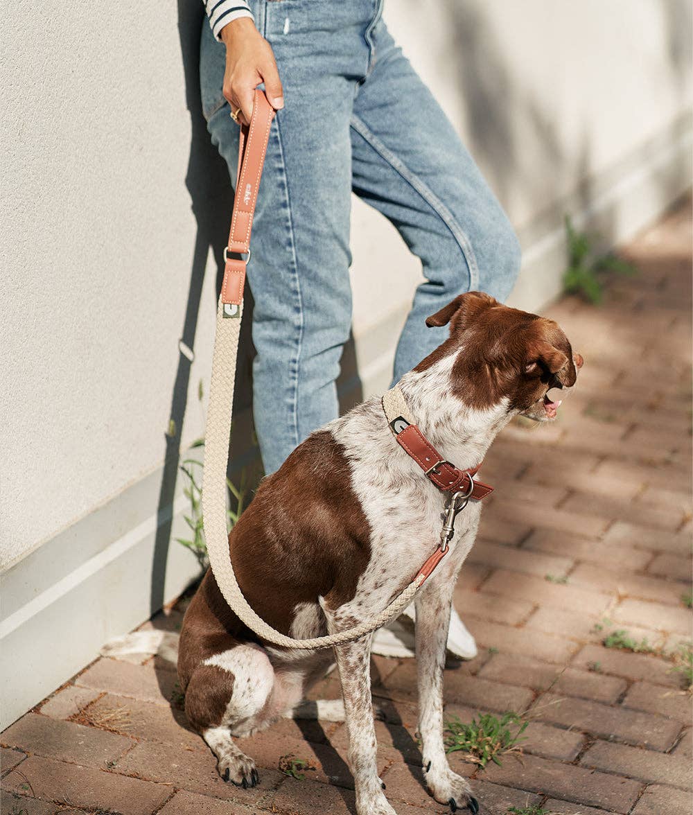 Corda Dog Leash – Brown | 1.1m Hand-Braided Vegan Leather