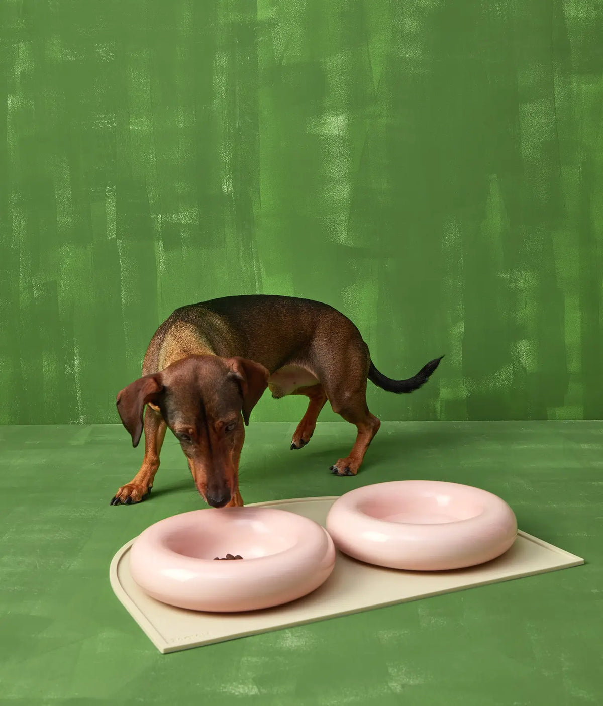 Yellow ceramic dog feeder