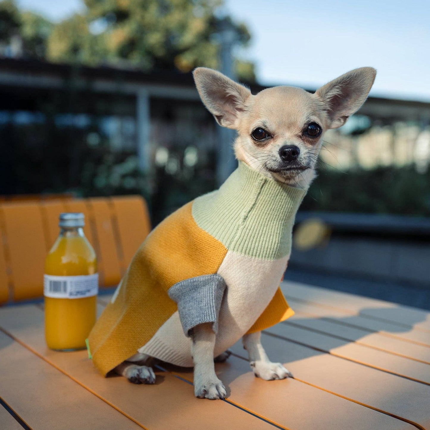 Wool Dog Sweater – Yellow (100% Wool, Nordic Design)