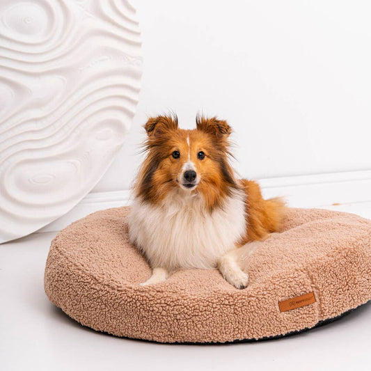 COCO Teddy Round Bed – Soft Sherpa Comfort for Dogs