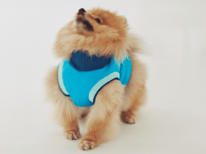 THE GLOW JUMPER 2.0 - Neon Dog Sweater - (Crystal Sky): Crystal Sky / 5