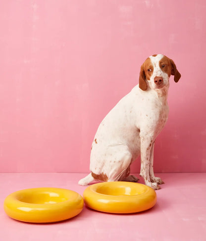 Yellow ceramic dog feeder
