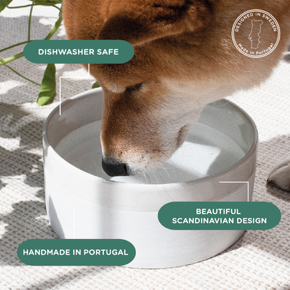 Mateus Ceramic Dog Bowl Sand – Handcrafted Luxury for Dogs