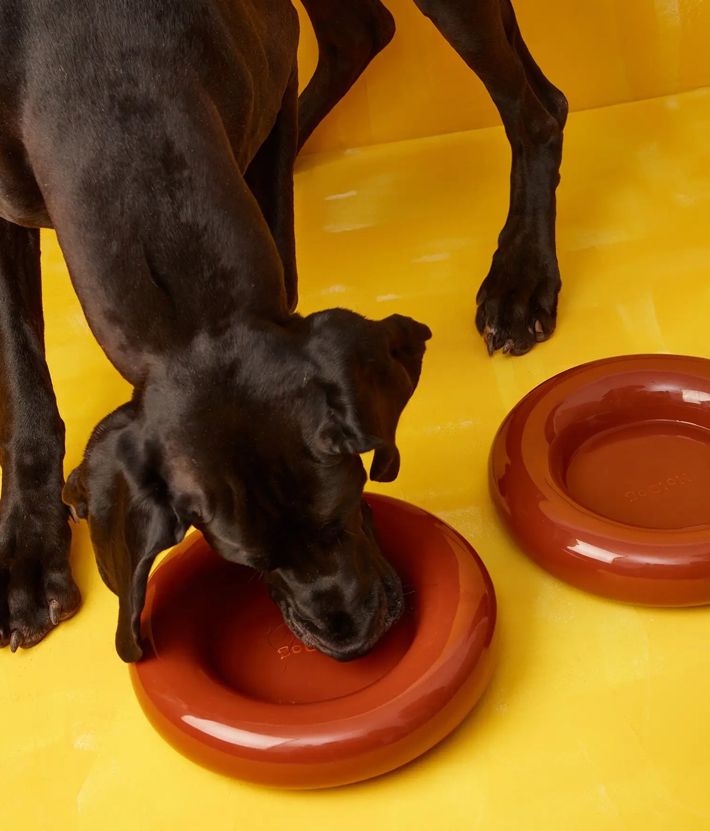 Handmade Ceramic Dog Bowl – Artisan Porcelain Feeder | SPLOOT