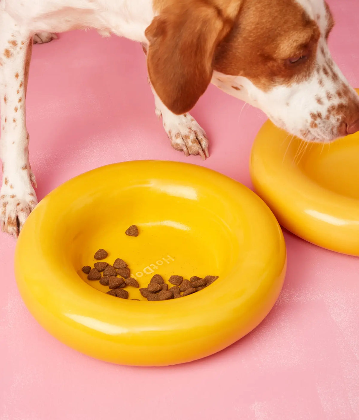 Yellow ceramic dog feeder