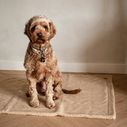 Soft Dog Blanket in Teddy Fleece – Beige | Scandinavian Design