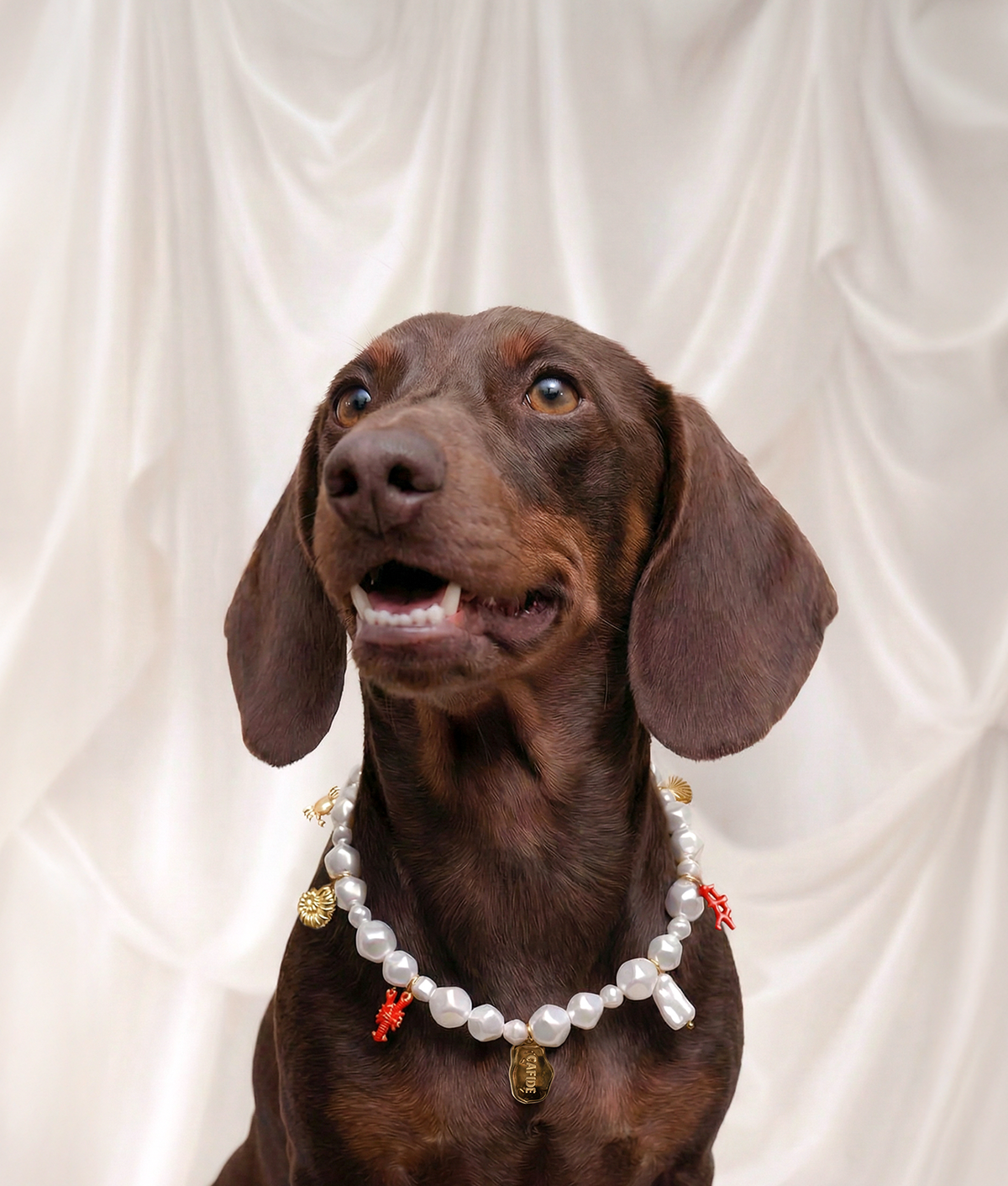 Coral Dog Charm Necklace – Decorative Collar with Charms | Sira