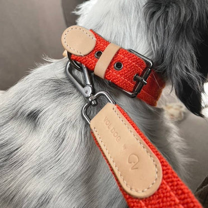 Collar Special Edition Raf Simons CoLAB