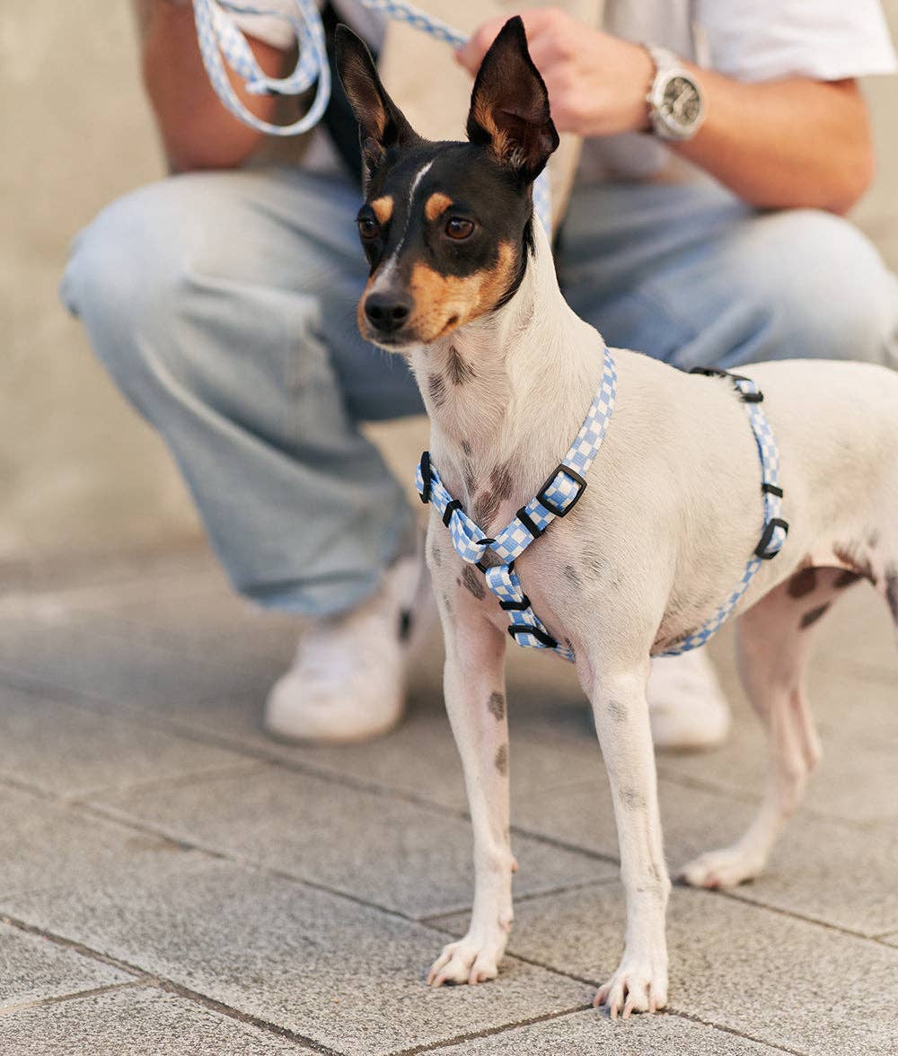Juno Dog Harness – Vichy Blue | Lightweight Recycled PET Harness