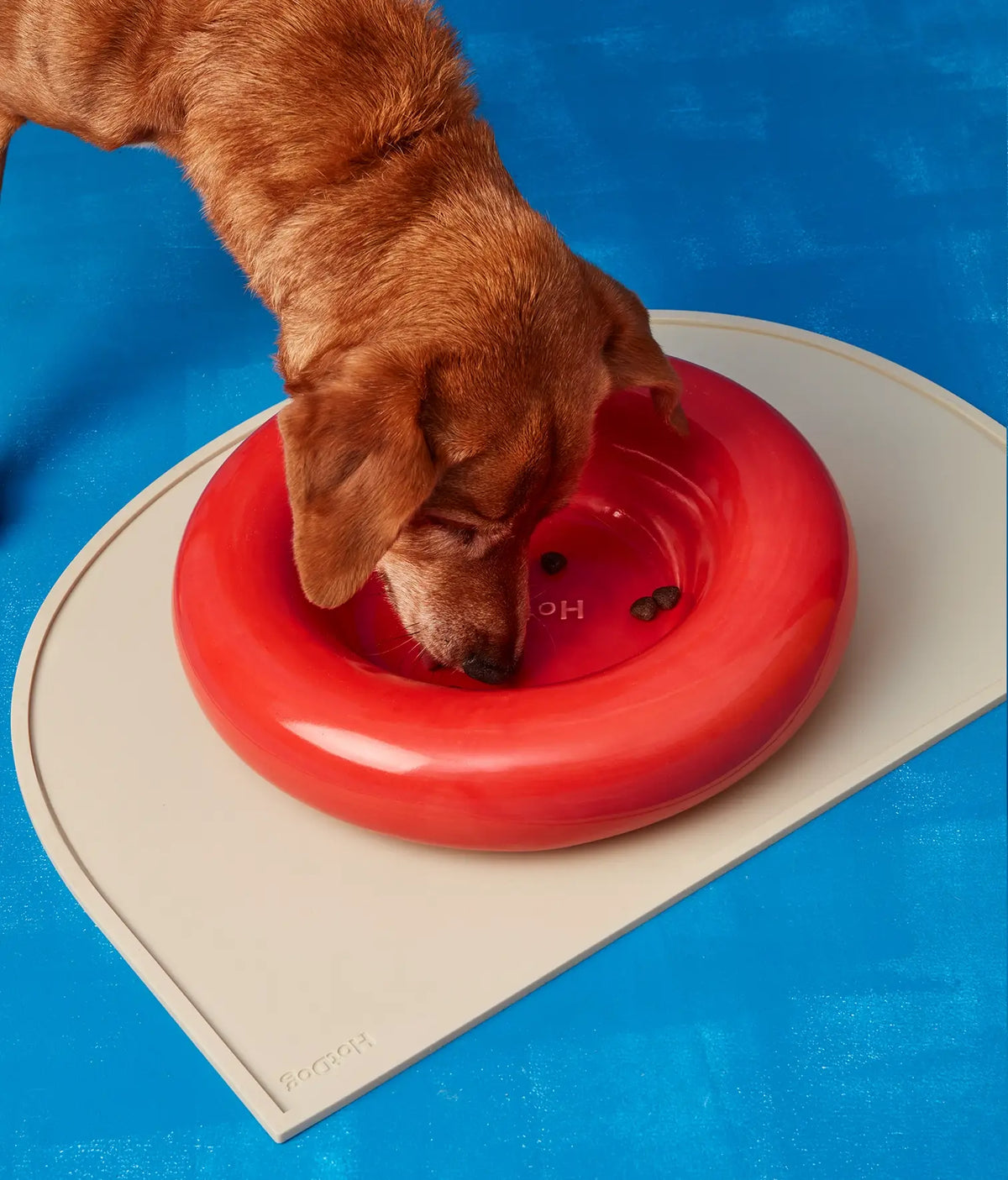 Yellow ceramic dog feeder