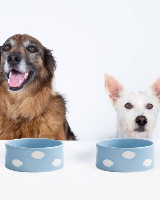 Cloud Pet Bowl 16.5cm Set of 2 – Satin Blue | Stoneware Dog Bowls