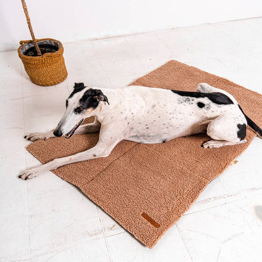 Mia Teddy Travel Mat – Comfort Anywhere, Anytime