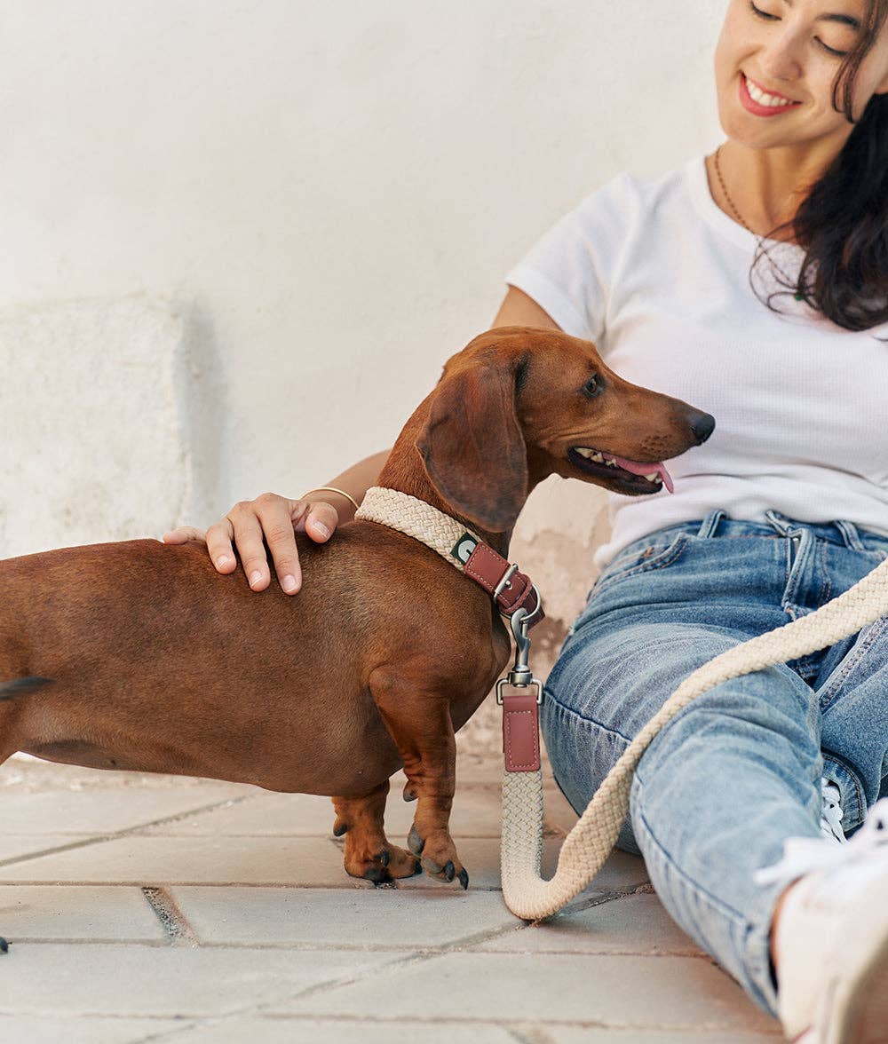 Corda Dog Collar – Brown | Adjustable Vegan Leather