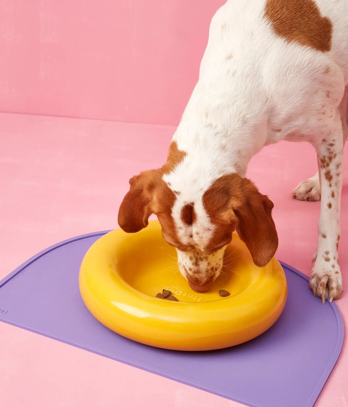 Yellow ceramic dog feeder