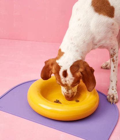 Yellow ceramic dog feeder