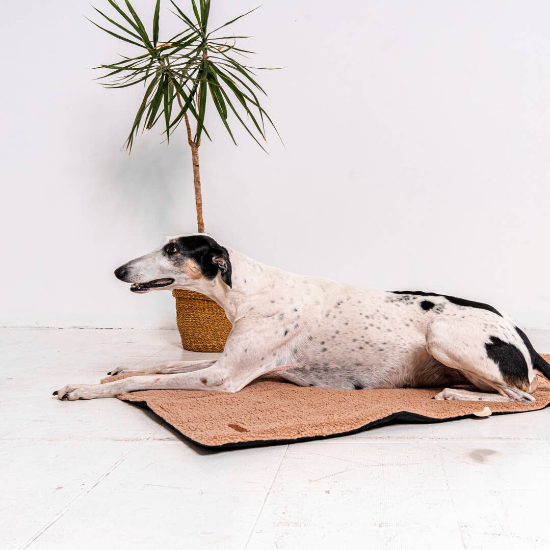 Mia Teddy Travel Mat – Comfort Anywhere, Anytime